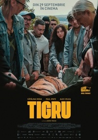 Poster Tigru