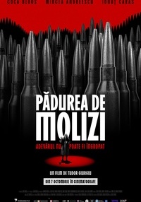 Poster Pădurea de molizi