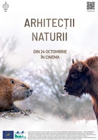 Poster Arhitecții naturii