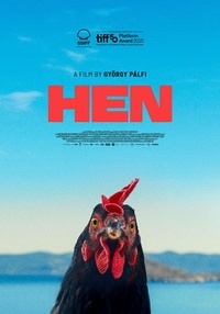 Poster Găina