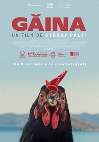 Poster Găina